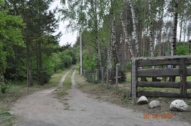 Фермерские дома Agroturystyka MAciejówka Skępe-6